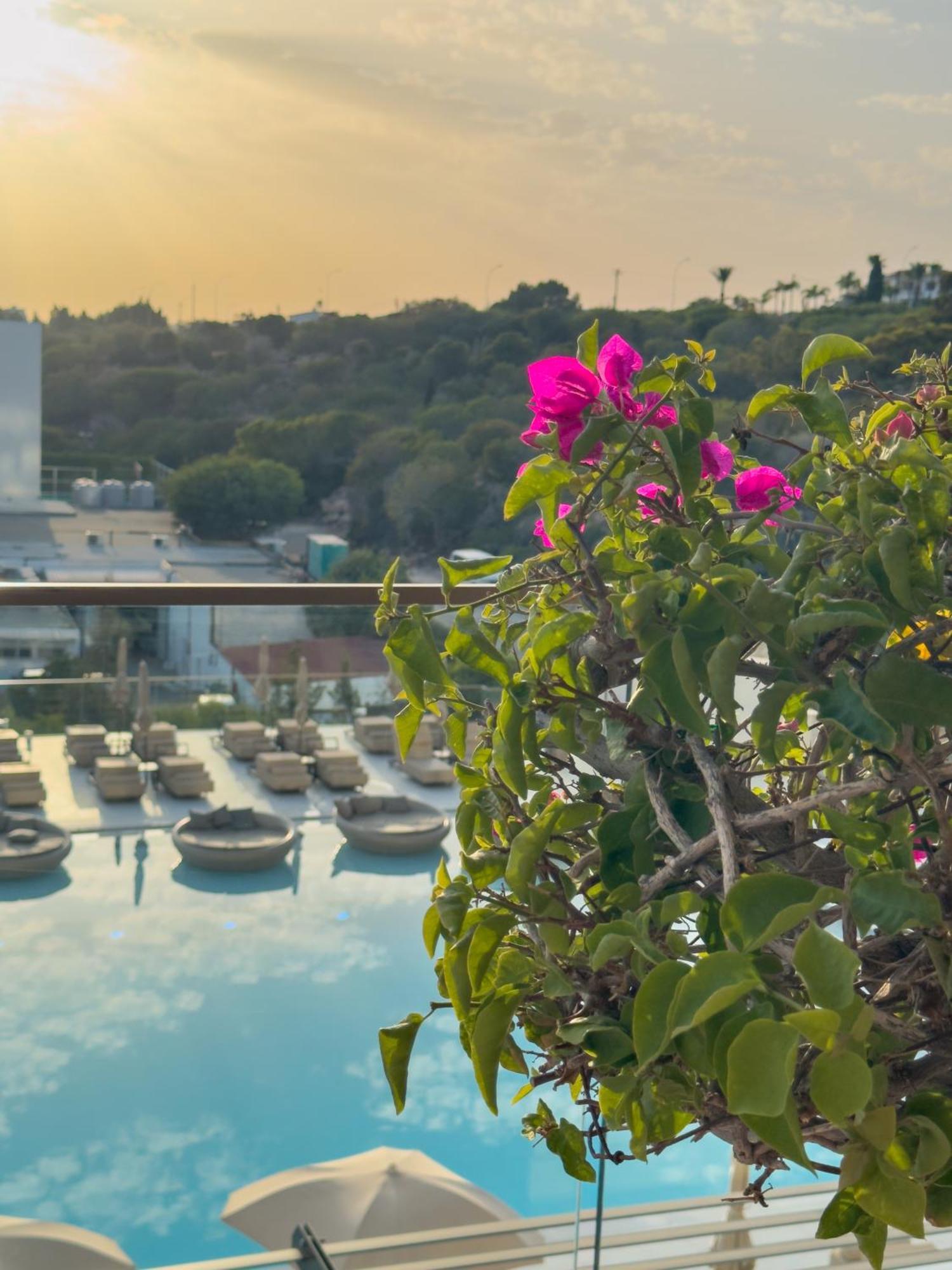 圣纳帕 Amarande (Adults Only)酒店 外观 照片 Bougainvillea